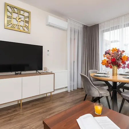 Elegant With Balcony And Air Conditioning In By Renters Apartment *