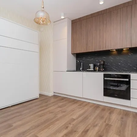 Elegant With Balcony And Air Conditioning In By Renters Apartment